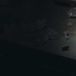 back-categorias